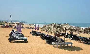 candolim